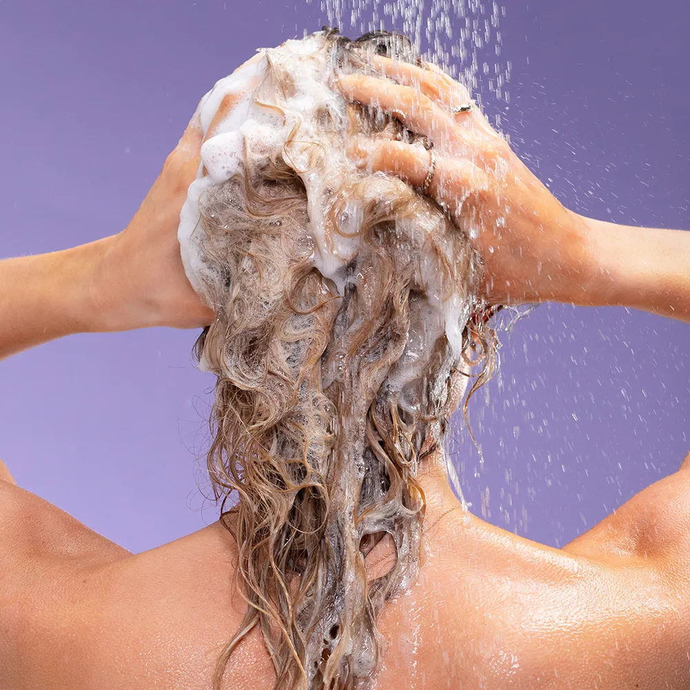 Intro Bundle with Free Gifts